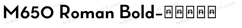 M650 Roman Bold字体转换